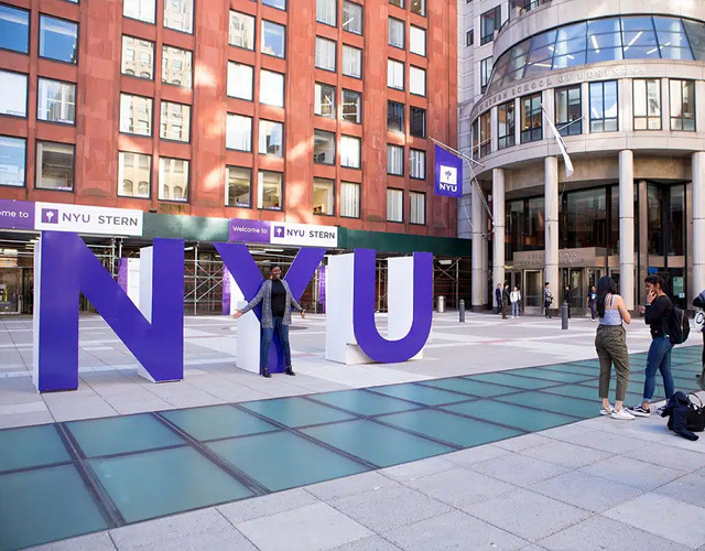 纽约大学
